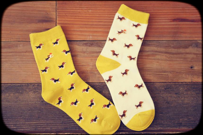 Frisbee Beagle puppy socks - Ice Cream Cake