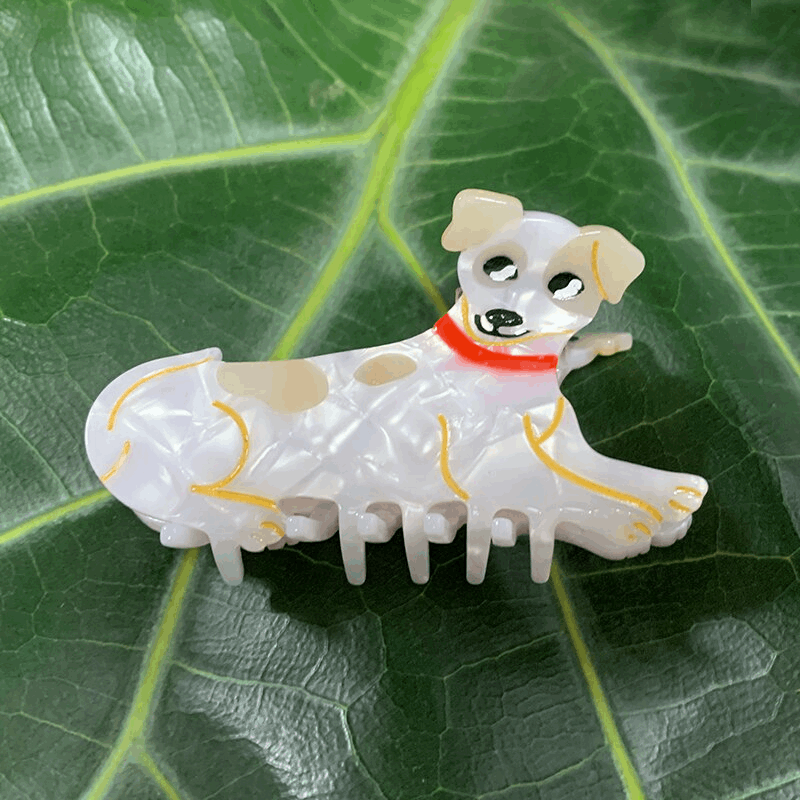 Acrylic Dog Claw Clip (5 Designs)