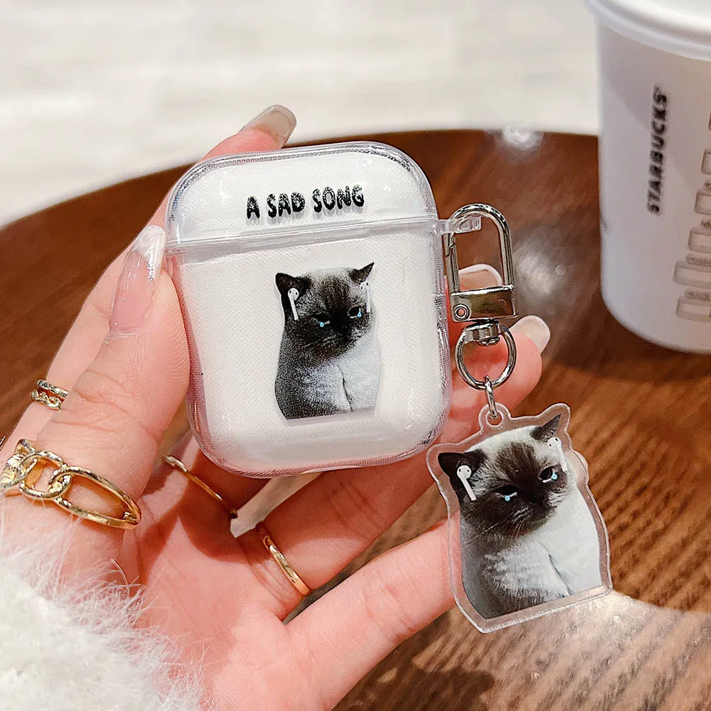 Sad Song Cat AirPods Charger Case Cover