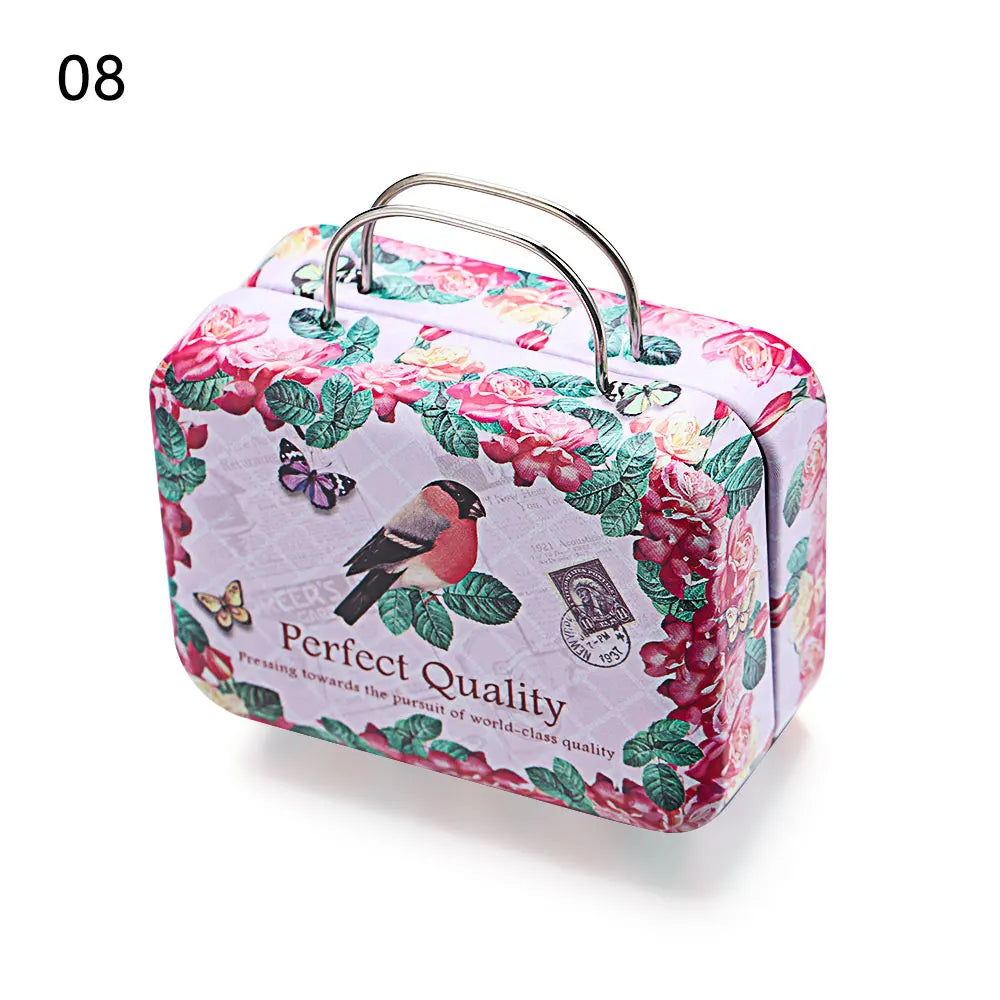 Kitschy Mini Vintage Lugagge Storage Tin