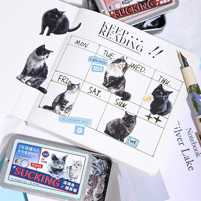 Kitty cat Sticker Tin (100 Stickers)