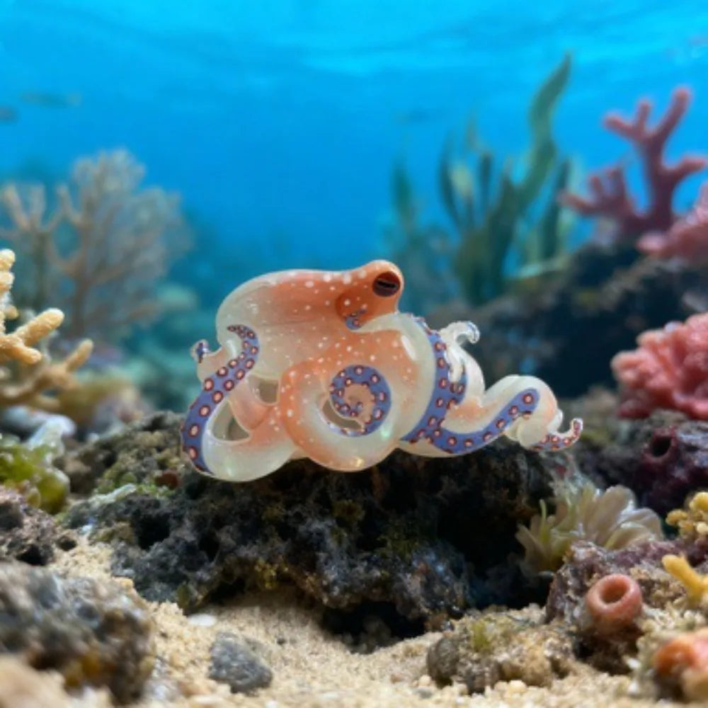Octopus on a coral reef with colorful corals and marine plants.