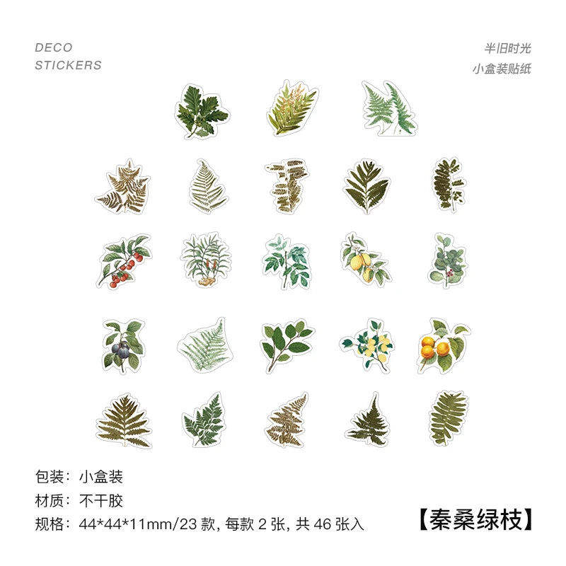 A set of botanical stickers featuring various green leaves, ferns, and small yellow-orange fruits, arranged on a white background with Chinese text details.