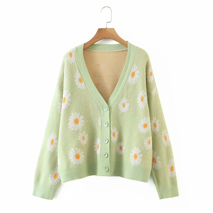 Cardigan flower 2025