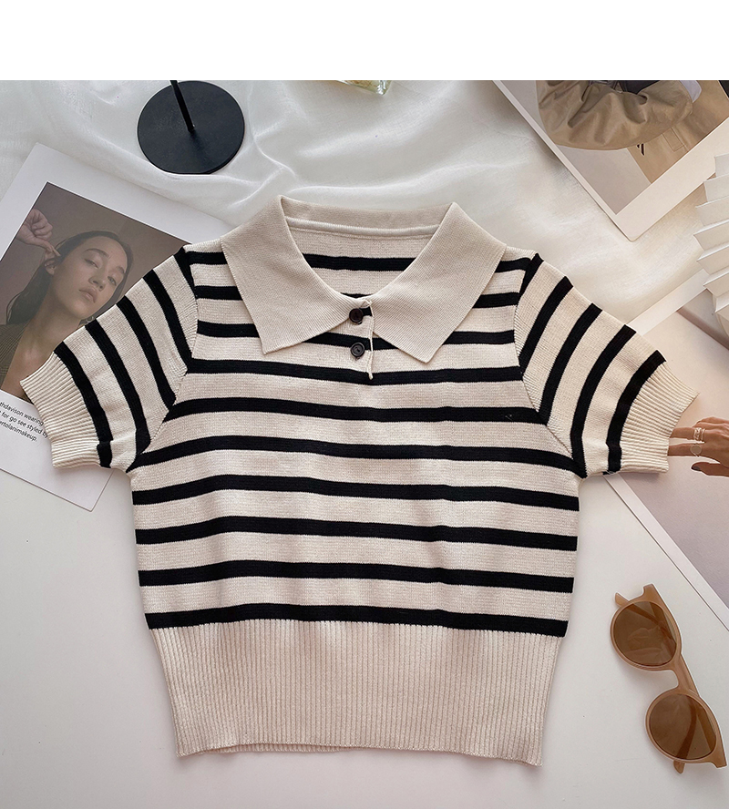 Basic Stripe Knit Polo Shirt (4 Colours)